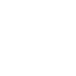Sitebulb
